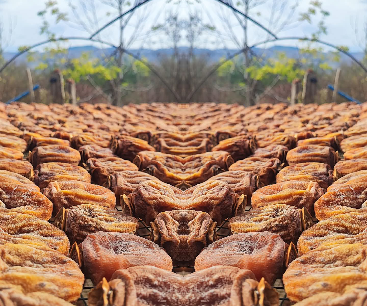 Cennet Hurması Extra Jumbo - Görsel 4