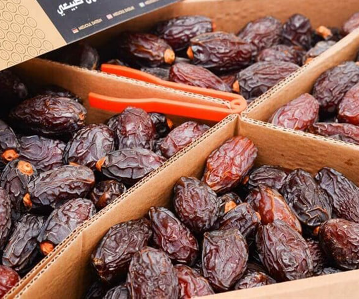 Kudüs Hurması Jumbo Boy - Görsel 3