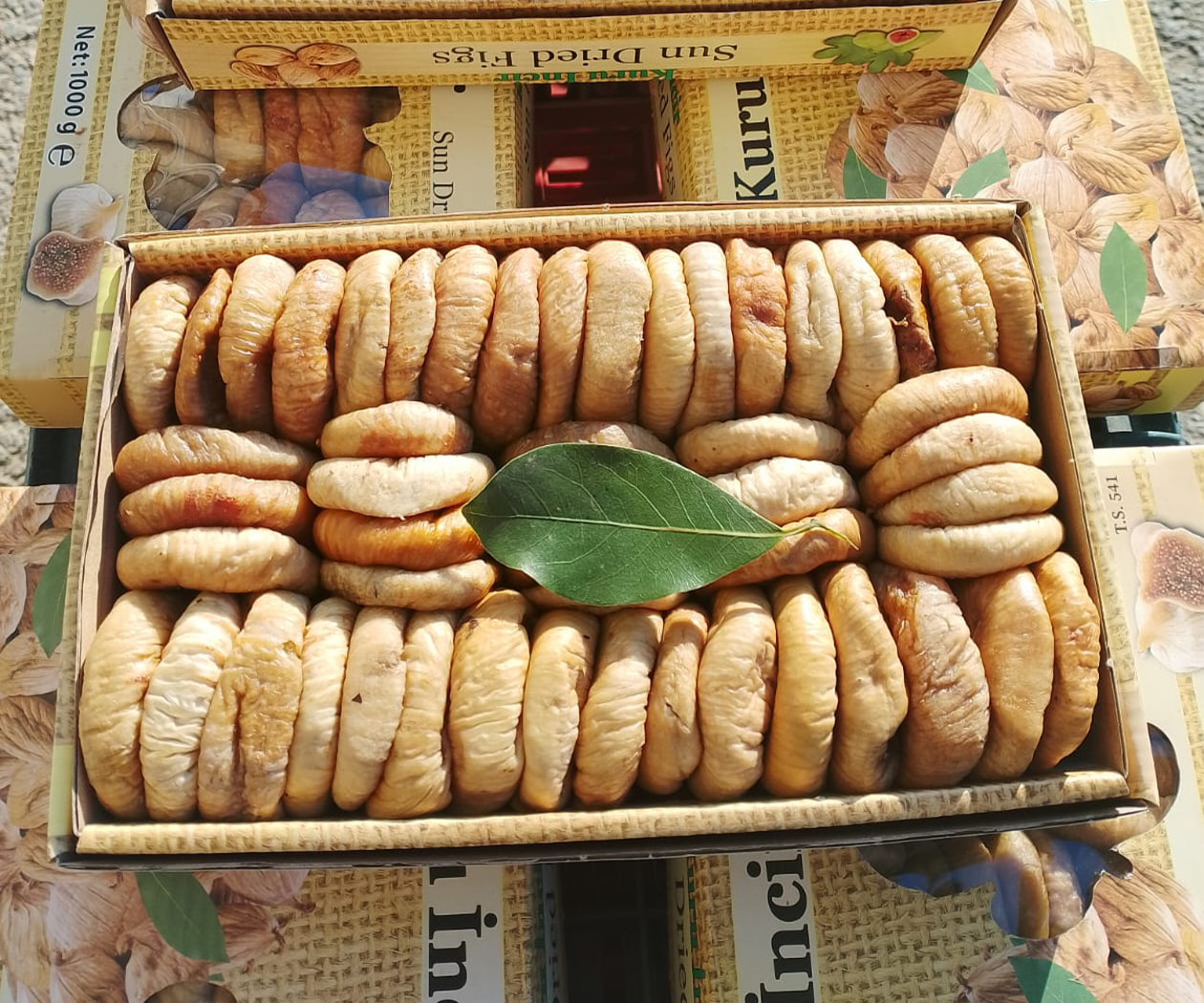 Dizili Orta Boy Dağ İnciri - Görsel 2