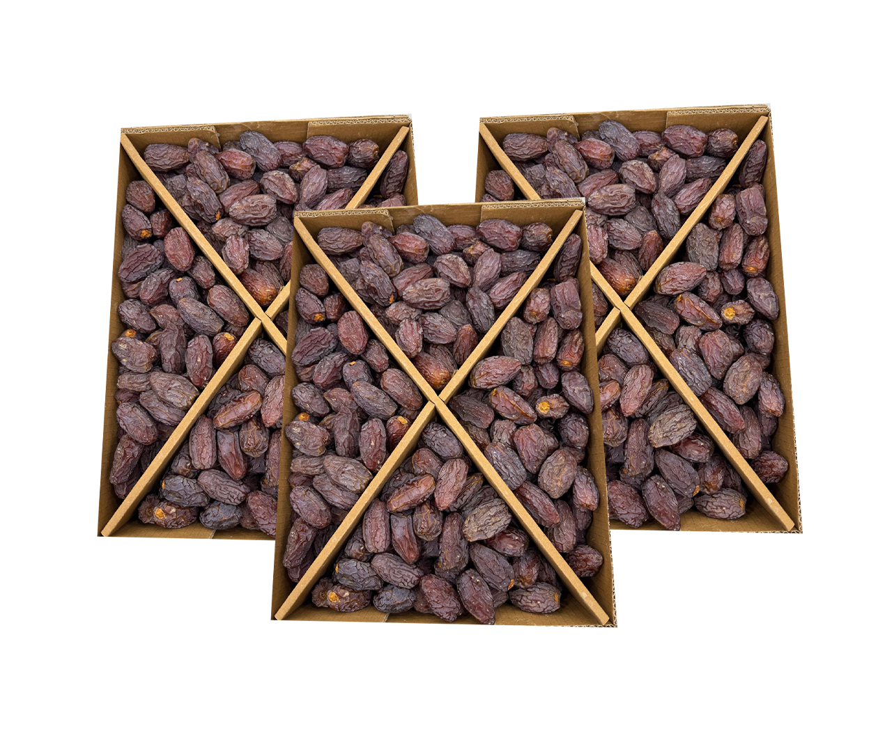 Kudüs Hurması Jumbo Boy - Görsel 4