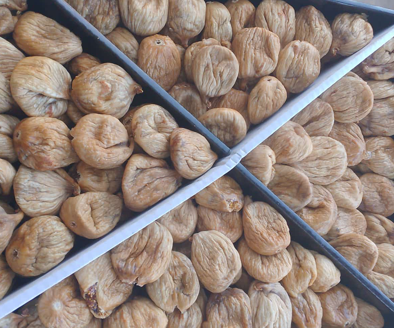 Armut Orta Boy Dağ İnciri - Görsel 5