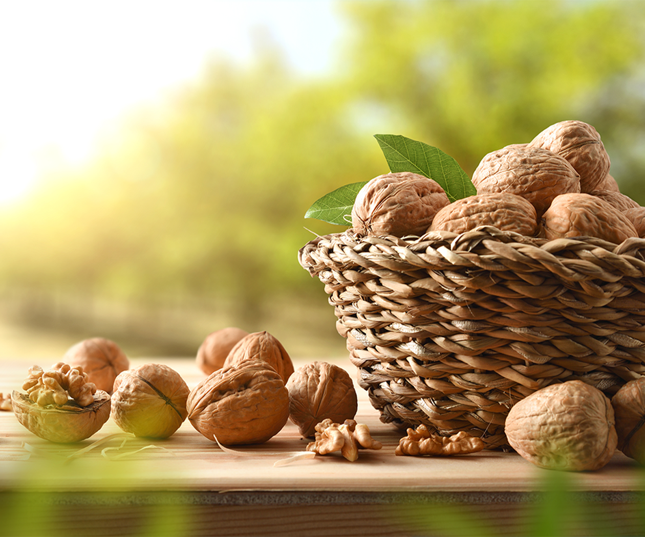 İthal Kabuklu Ceviz - Görsel 3